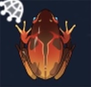 ツリーカエルの画像