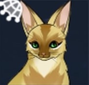 コサックギツネの画像