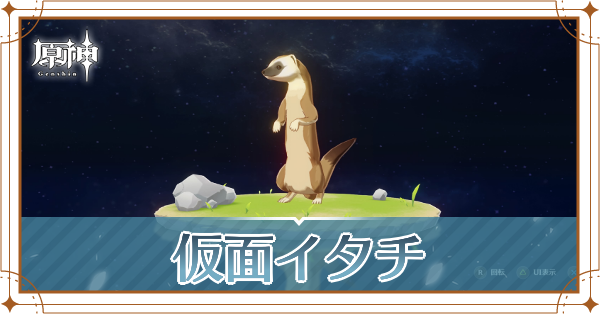 仮面イタチの入手場所と使い道