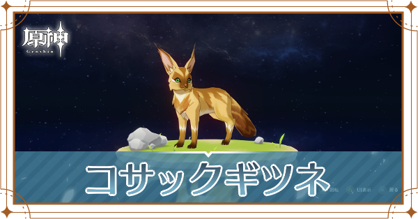 コサックギツネの入手場所と使い道