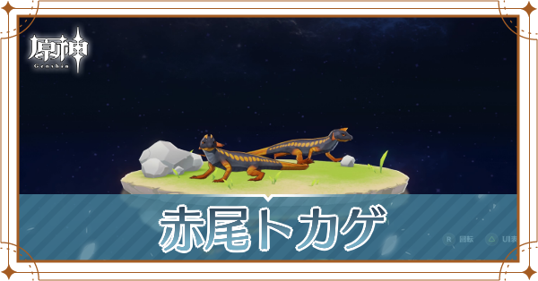 赤尾トカゲの入手場所と使い道