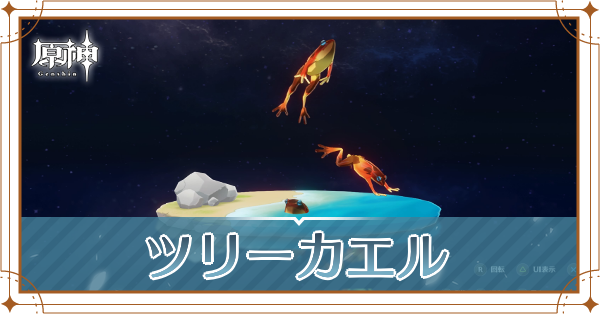 ツリーカエルの入手場所と使い道