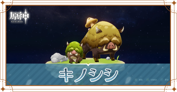 キノシシの入手場所と使い道