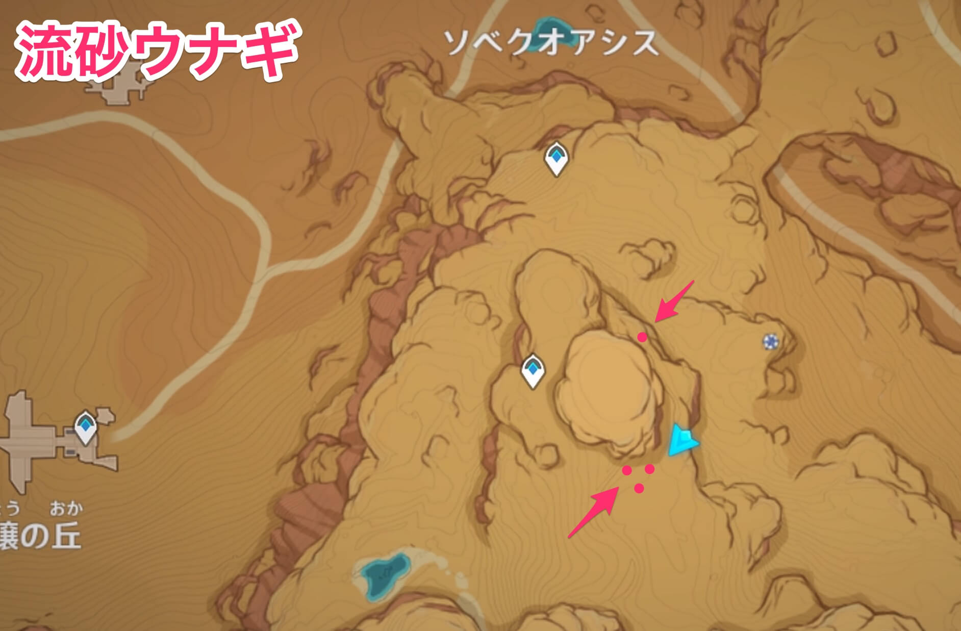 流砂ウナギのマップ画像