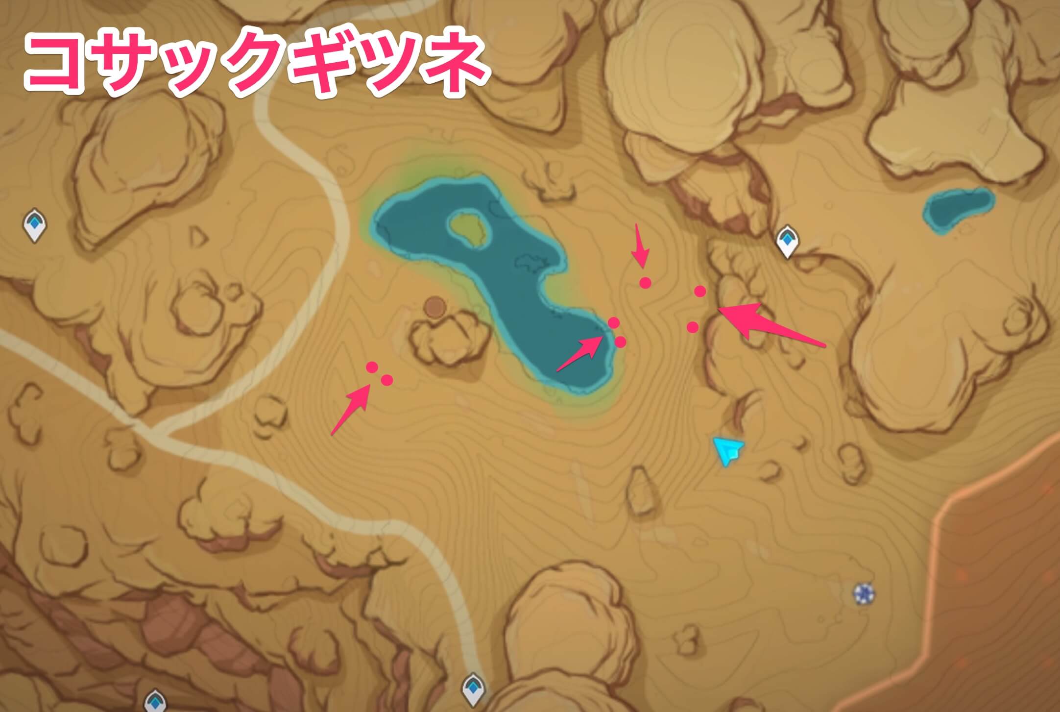 コサックギツネのマップ画像