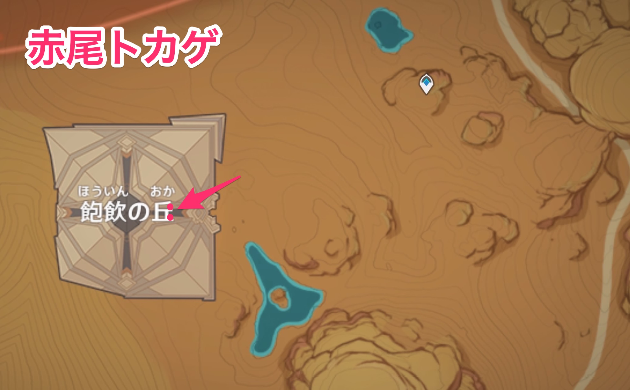 赤尾トカゲのマップ画像