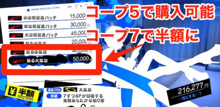 武見コープを進めてで貼る大気功を購入