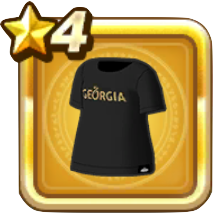 ジョージアTシャツ画像