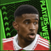 TPレイスネルソン(11/3)画像