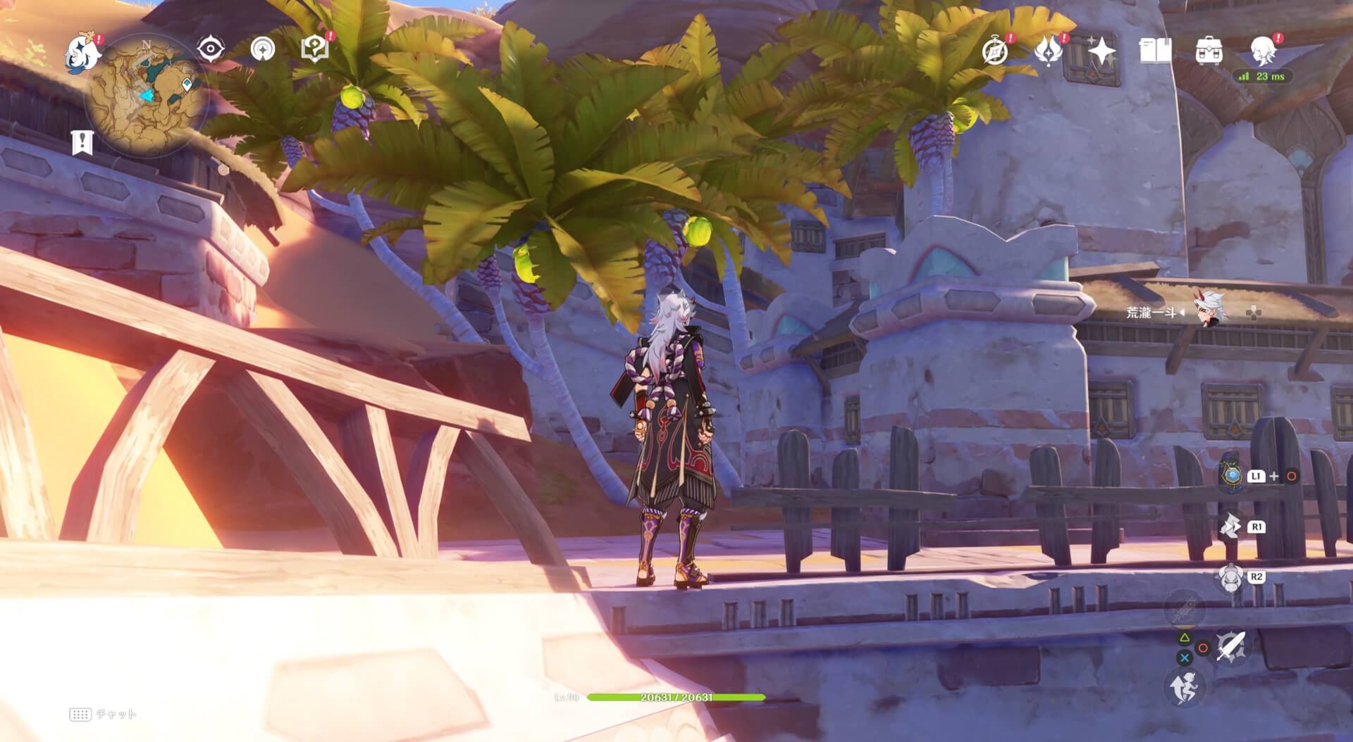 デーツが付いている木から入手可能