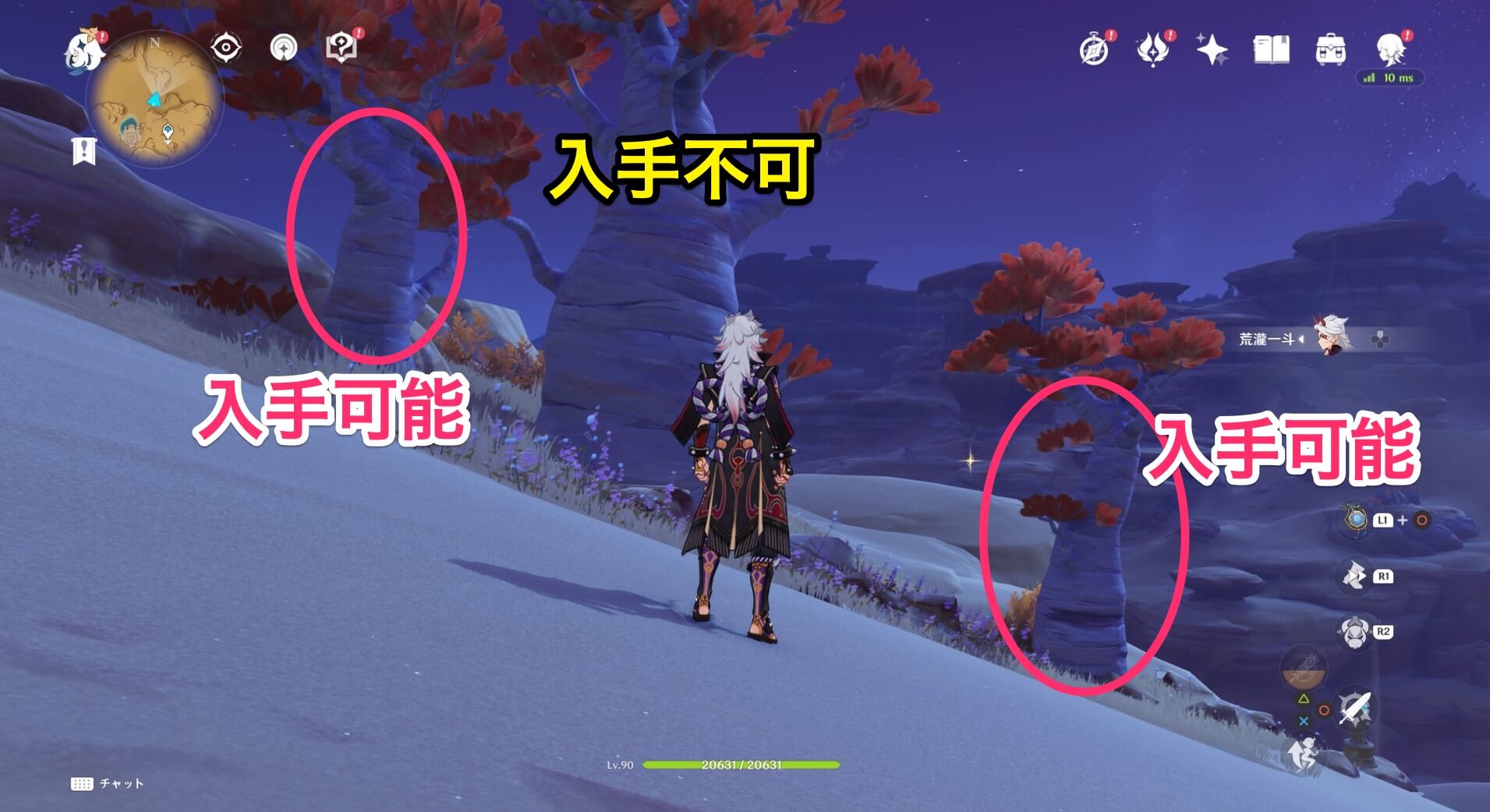 幹が太すぎる木からは入手不可