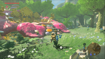 しのび草の場所