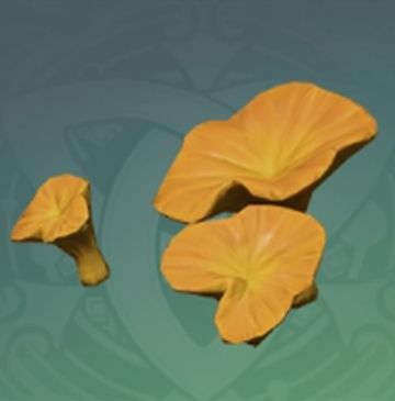 杏子枯れ茸の画像