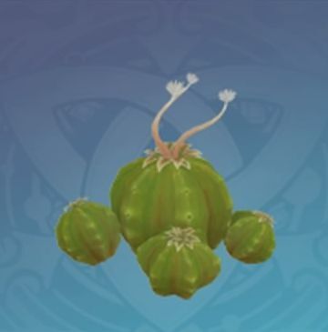 「渋さを深くに隠す裂果」の画像