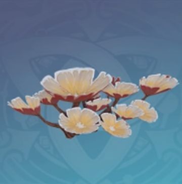 「月の断片の如く」の画像