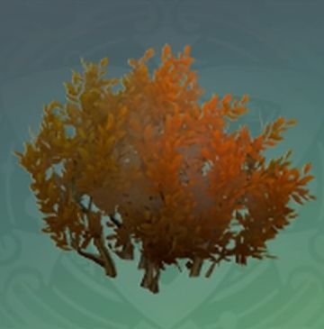 「夜明けの予兆の如く」の画像