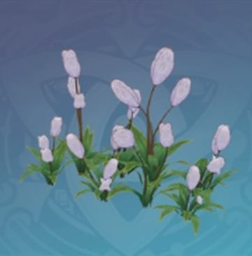 「輝く遠星の如く」の画像