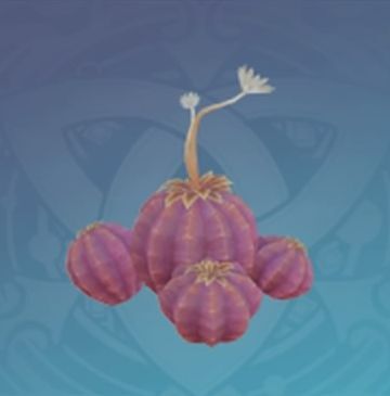 「甘さを深くに隠す蜜醸」の画像