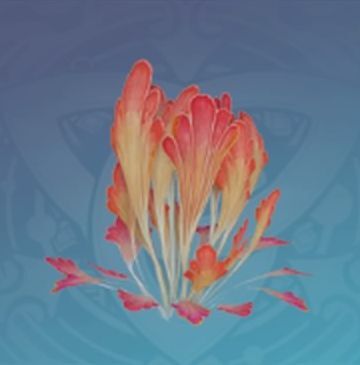 「迫りくる夕焼けの如く」の画像