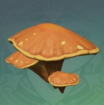 砂橙天井茸の画像