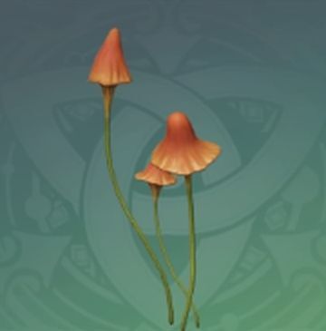 陽紅揺れ茸の画像