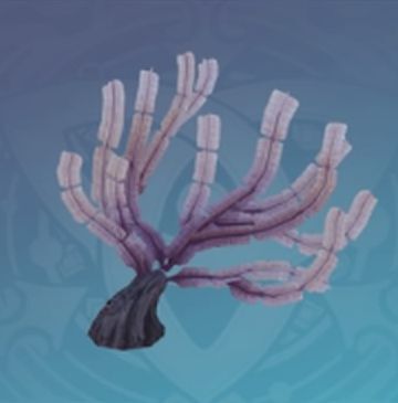 「半分が砂に埋もれた手紙」の画像