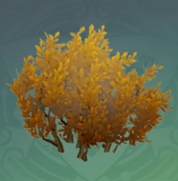 「強靭さを帯びた肌理」の画像