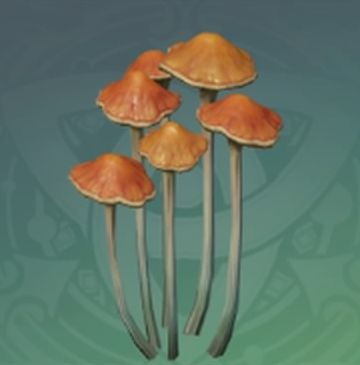 黄褐林立茸の画像