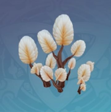 「熱砂に焼かれた涼しさ」の画像