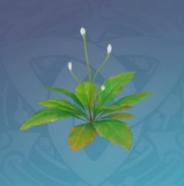 「燃え広がる青藍」の画像