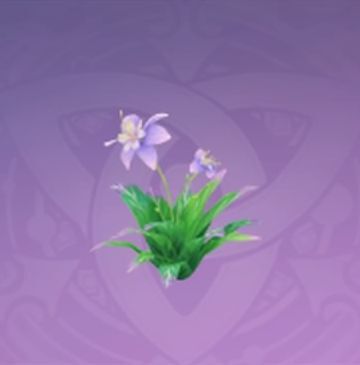 「森の一角の奇跡」の画像