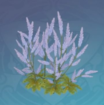 「幽香たる熟睡の枝」の画像