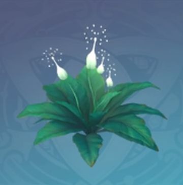 「鮮烈な白光」の画像