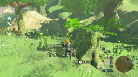 サトリ山の採取場所