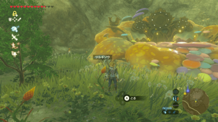 ツルギソウの入手場所