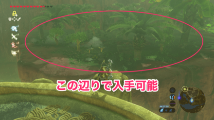 マックスドリアンの入手場所