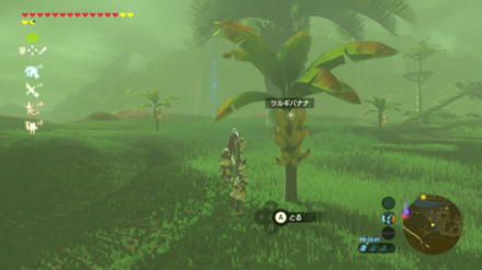 ツルギバナナの入手場所