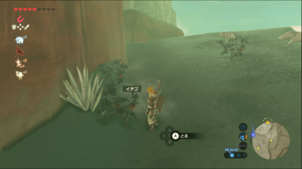 イチゴの入手場所