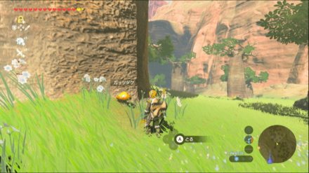 ガッツダケの入手場所