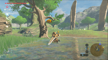 ガンバリバチの購入場所