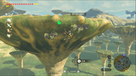 ゴーゴースミレの場所