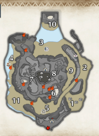 紅ヒトダマドリの密林の上層