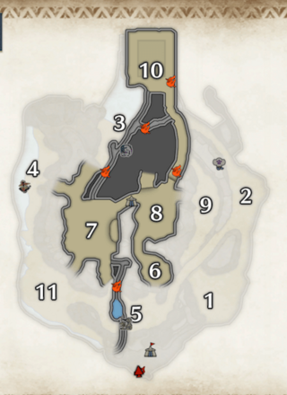 紅ヒトダマドリの密林の下層