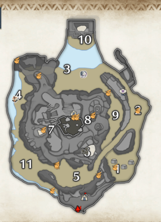 橙ヒトダマドリの密林の上層