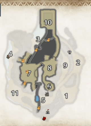 橙ヒトダマドリの密林の下層