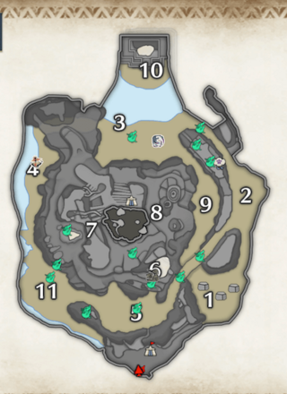 緑ヒトダマドリの密林の上層