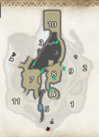 緑ヒトダマドリの密林の下層