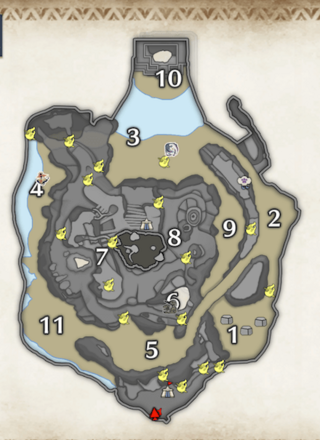 黄ヒトダマドリの密林の上層