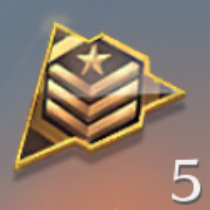 栄光物資勲章のピース