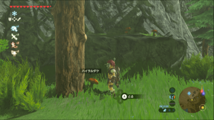 ハイラルダケの入手場所